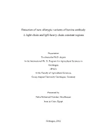 Λ-Light Chain and Igg-Heavy Chain Constant Regions