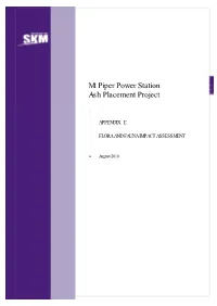 Mt Piper Power Station Ash Placement Project