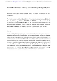 Petri Net-Based Graphical and Computational Modelling of Biological Systems