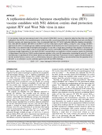 A Replication-Defective Japanese Encephalitis Virus (JEV)