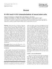 Review in Vitro and in Vivo Characterization of Neural Stem Cells