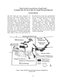 What Can Be Learned from a Fossil Tooth? an Inquiry Into the Life & Diet of a Small Theropod Dinosaur