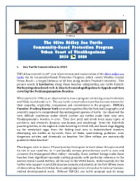 I. Sea Turtle Conservation in 2020 VSPCA Has Entered Its 24Th Year Of
