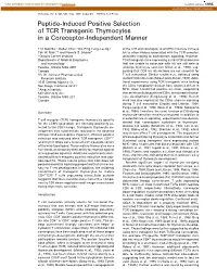 Peptide-Induced Positive Selection of TCR Transgenic Thymocytes in a Coreceptor-Independent Manner