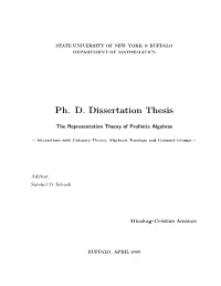 Ph. D. Dissertation Thesis