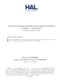 Secreted Molecules and Their Role in Embryo Formation in Plants : a Min-Review