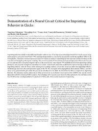 Demonstration of a Neural Circuit Critical for Imprinting Behavior in Chicks