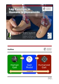 Leg Function in Humans & Humanoids