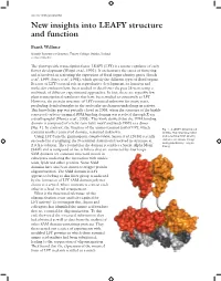 New Insights Into LEAFY Structure and Function