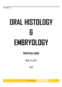 Practical Guide