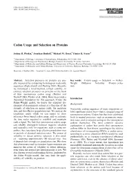 Codon Usage and Selection on Proteins