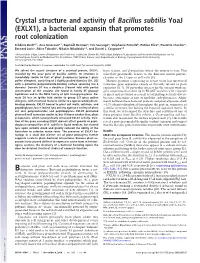 Crystal Structure and Activity of Bacillus Subtilis Yoaj (EXLX1), a Bacterial Expansin That Promotes Root Colonization