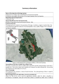 Summary Information