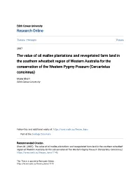 The Value of Oil Mallee Plantations and Revegetated Farm Land in The