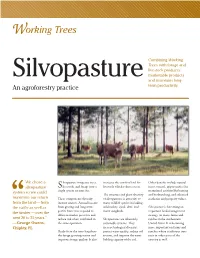 Working Trees for Silvopasture