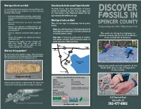 DISCOVER Rich in Invertebrate Animals