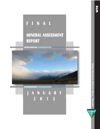 F I N a L Mineral Assessment Report