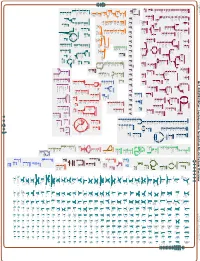 Generated by SRI International Pathway Tools Version 25.0, Authors S