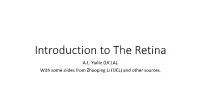 Introduction to Retina