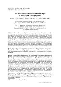 An Updated Classification of Brown Algae (Ochrophyta, Phaeophyceae)