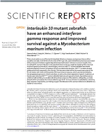 Interleukin 10 Mutant Zebrafish Have an Enhanced Interferon