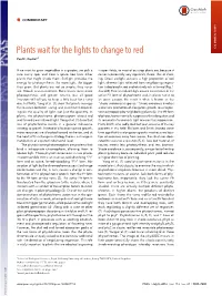 Plants Wait for the Lights to Change to Red COMMENTARY Paul F