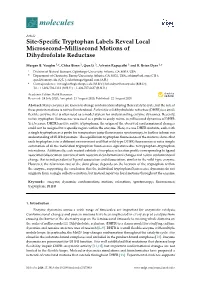 Site-Specific Tryptophan Labels Reveal Local Microsecond