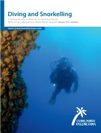 Diving and Snorkelling "I Can’T Explain Why I Love the Sea, It’S Something Physical