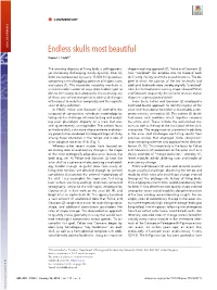 Endless Skulls Most Beautiful