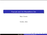 Fractals and the Mandelbrot Set