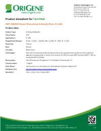 HEF1 (NEDD9) Mouse Monoclonal Antibody [Clone ID: 2G9] Product Data