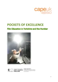 Pockets of Excellence