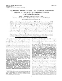 Long Terminal Repeat Enhancer Core Sequences in Proviruses Adjacent to C-Myc in T-Cell Lymphomas Induced by a Murine Retrovirus