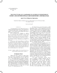 The Structure of Elaiophores in Oncidium Cheirophorum Rchb.F