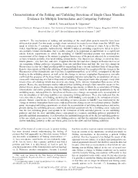 Characterization of the Folding and Unfolding Reactions of Single-Chain Monellin: Evidence for Multiple Intermediates and Competing Pathways† Ashish K