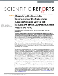 Dissecting the Molecular Mechanism of the Subcellular Localization And