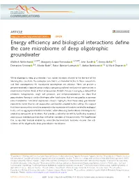 Energy Efficiency and Biological Interactions Define the Core Microbiome of Deep Oligotrophic Groundwater