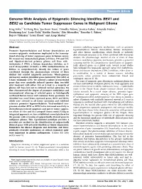 Genome-Wide Analysis of Epigenetic Silencing Identifies BEX1 and BEX2 As Candidate Tumor Suppressor Genes in Malignant Glioma