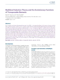 Multilevel Selection Theory and the Evolutionary Functions of Transposable Elements