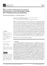 Role of SSD1 in Phenotypic Variation of Saccharomyces Cerevisiae Strains Lacking DEG1-Dependent Pseudouridylation