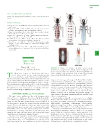 Isoptera Book Chapter
