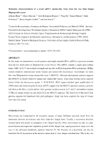 Molecular Characterization of a Novel Ssrna Ourmia-Like Virus from The