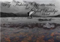 Fishing Brochure