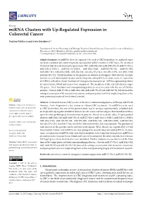 Mirna Clusters with Up-Regulated Expression in Colorectal Cancer