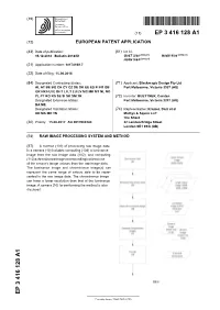 Raw Image Processing System and Method