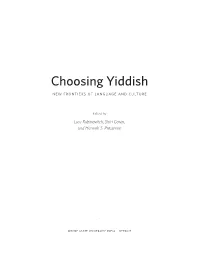 Choosing Yiddish New Frontiers of Language and Culture