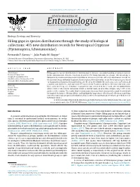 Download PDF (Inglês)