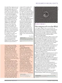 The Enigma of Circular