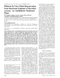 Efficient in Vitro Plant Regeneration from Internode Explants of Ibervillea