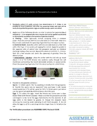 Spawning of Gametes in Paracentrotus Lividus
